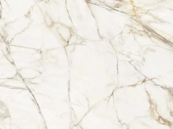 Calacatta Gold - Image 2