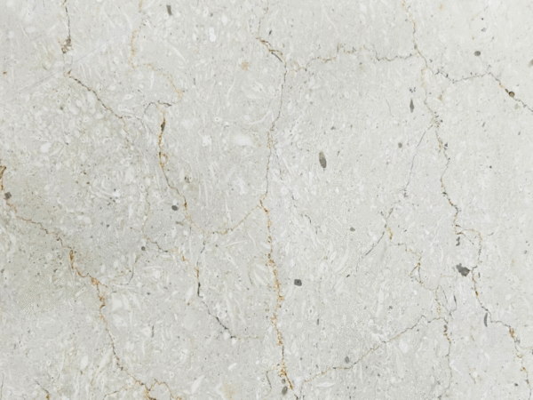 Light Marble Countertops & Tile - Speckled Stone with Gold Vein