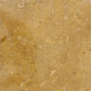 Fossilized Gold Limestone Tile - Textured Natural Stone Slab/Flooring