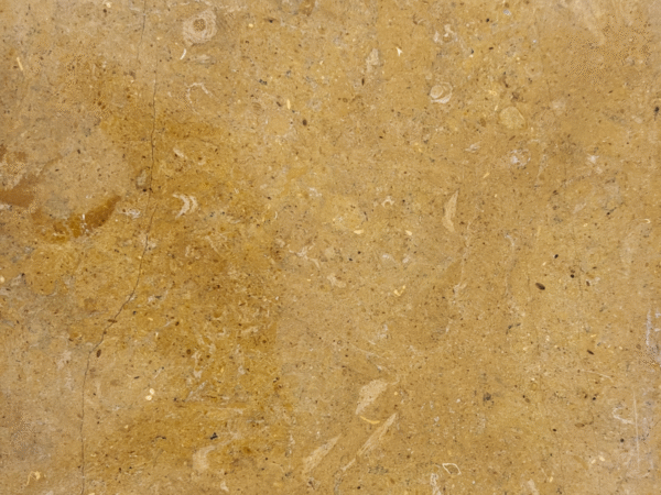 Fossilized Gold Limestone Tile - Textured Natural Stone Slab/Flooring