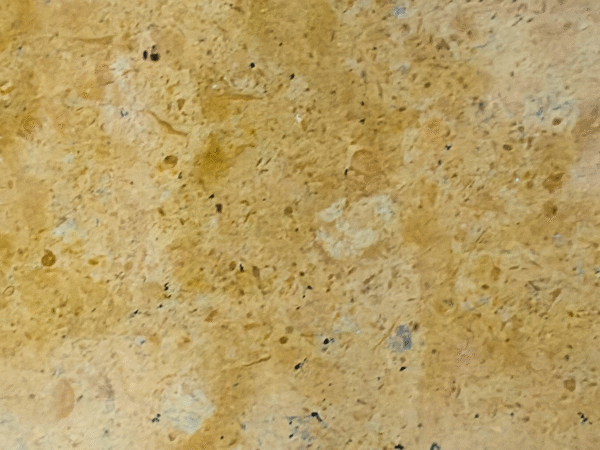 Golden Yellow Travertine Stone | Classic Rustic Gold Natural Pavers/Tiles