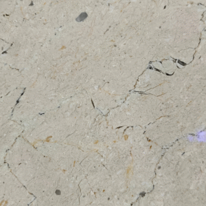 Classic Beige Fissured Natural Stone Slab | Cream Limestone/Marble with Dark Veins