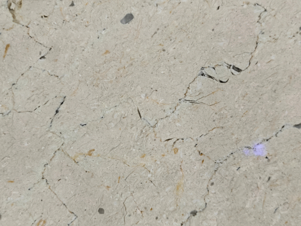Classic Beige Fissured Natural Stone Slab | Cream Limestone/Marble with Dark Veins