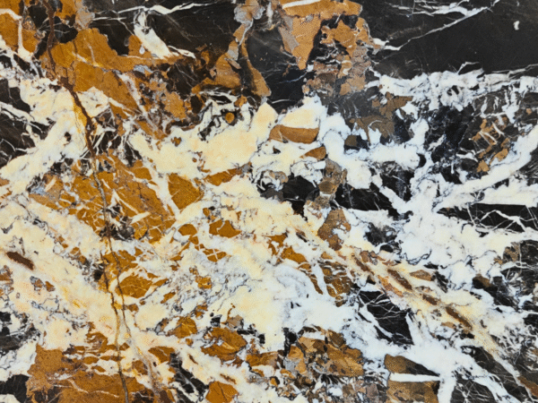 Exotic Black, Gold, and White Onyx Slab | High-Movement Luxury Statement Stone