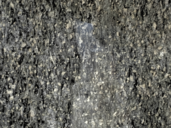 Premium Black Granite Slab – Durable Natural Stone for Countertops & Flooring
