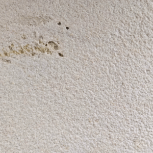 Classic Beige Fissured Stone Slab | Cream Limestone Look with Dark Veins
