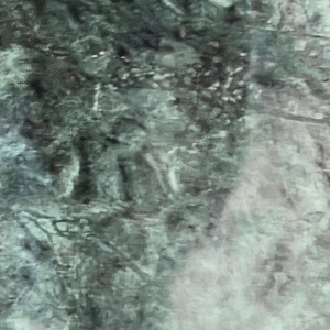 Exotic Dark Forest Green Marble Slab | Fractured Vein Luxury Statement Stone