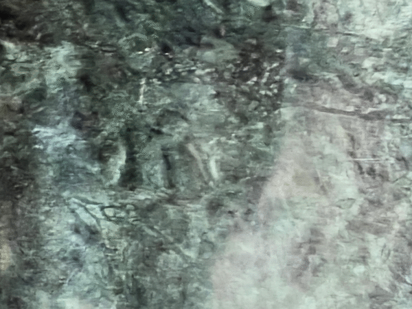 Exotic Dark Forest Green Marble Slab | Fractured Vein Luxury Statement Stone